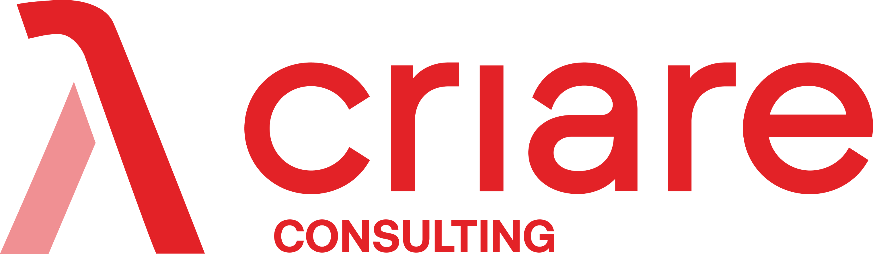 CRIARE CONSULTING