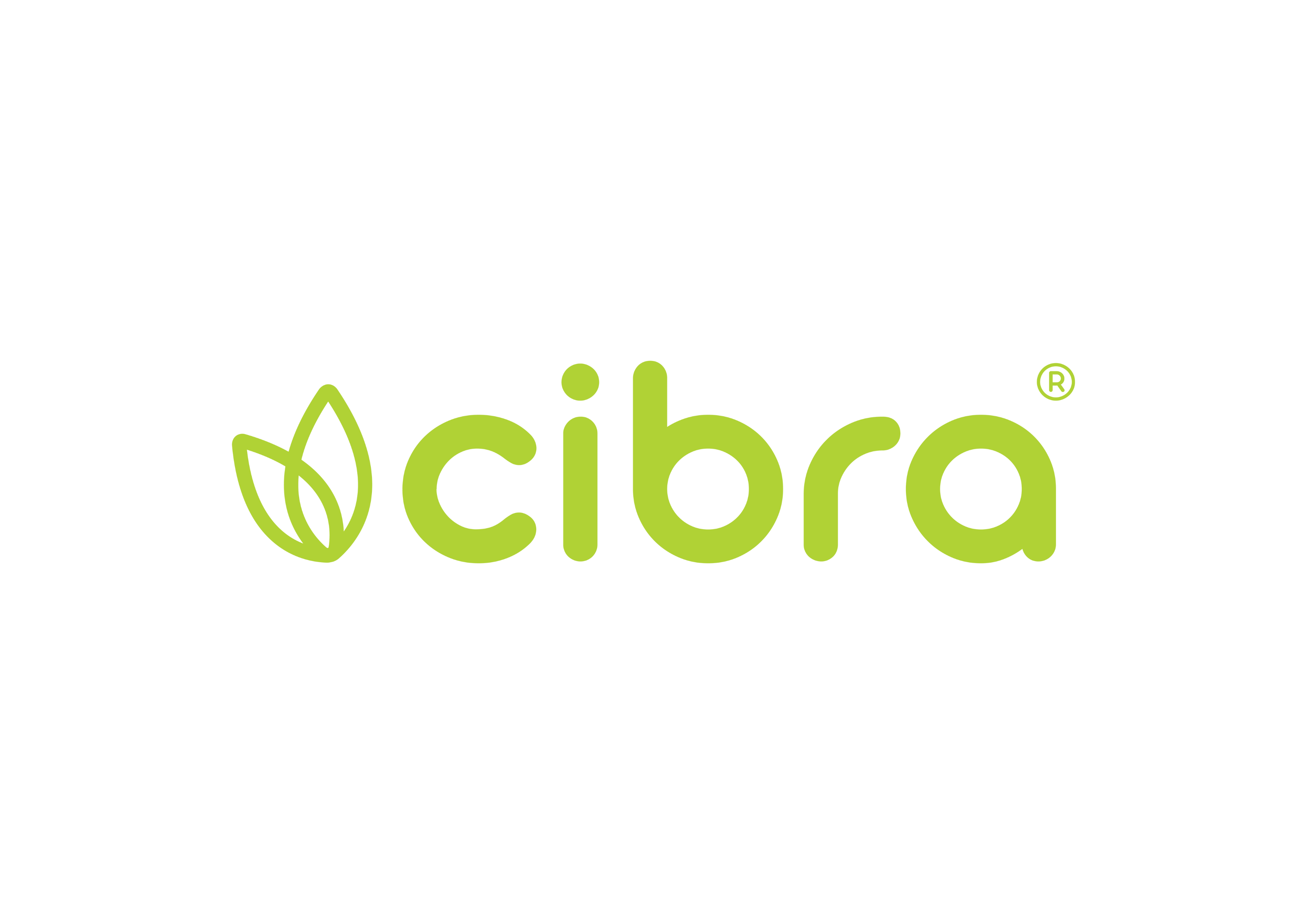 CIBRAFERTIL COMPANHIA BRASILEIRA DE FERTILIZANTES