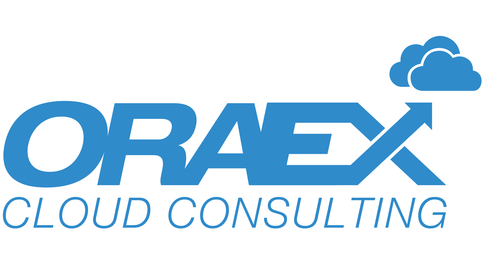 ORAEX CONSULTORIA EM INFORMATICA LTDA
