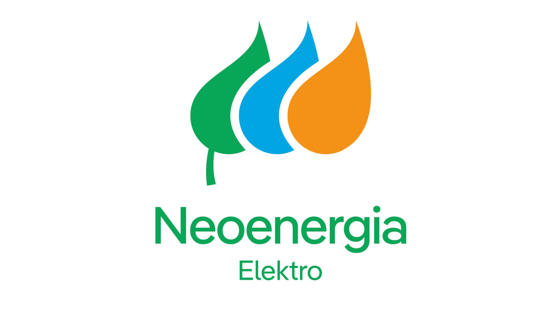 ELEKTRO ELETRICIDADE E SERVICOS S/A
