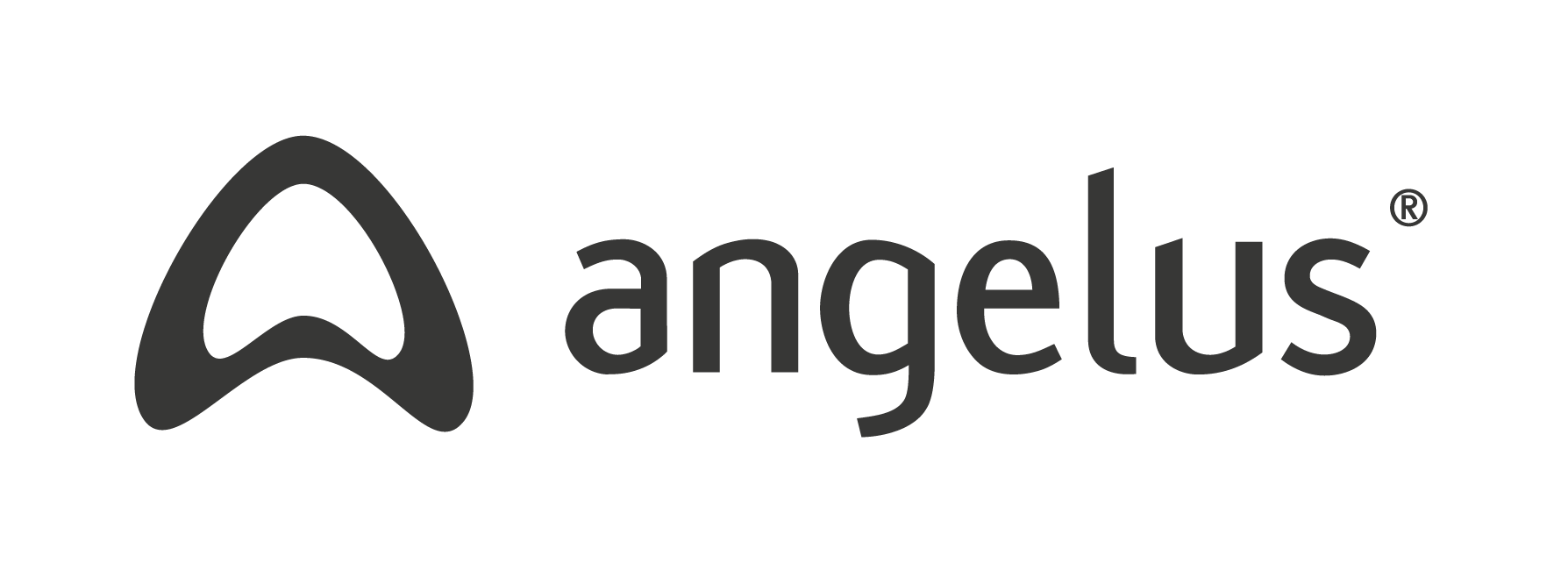 ANGELUS INDUSTRIA DE PRODUTOS ODONTOLOGICOS S/A