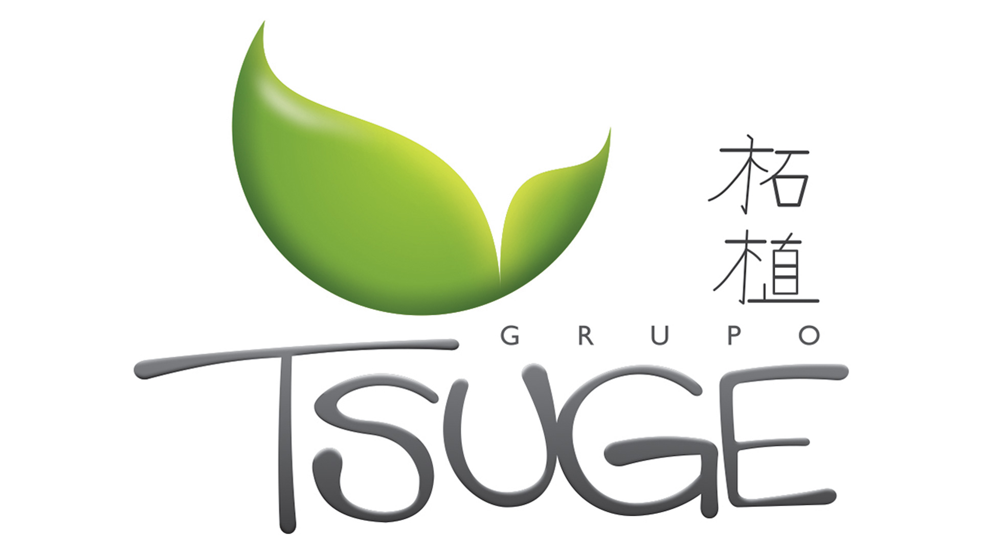 AGRICOLA TSUGE LTDA