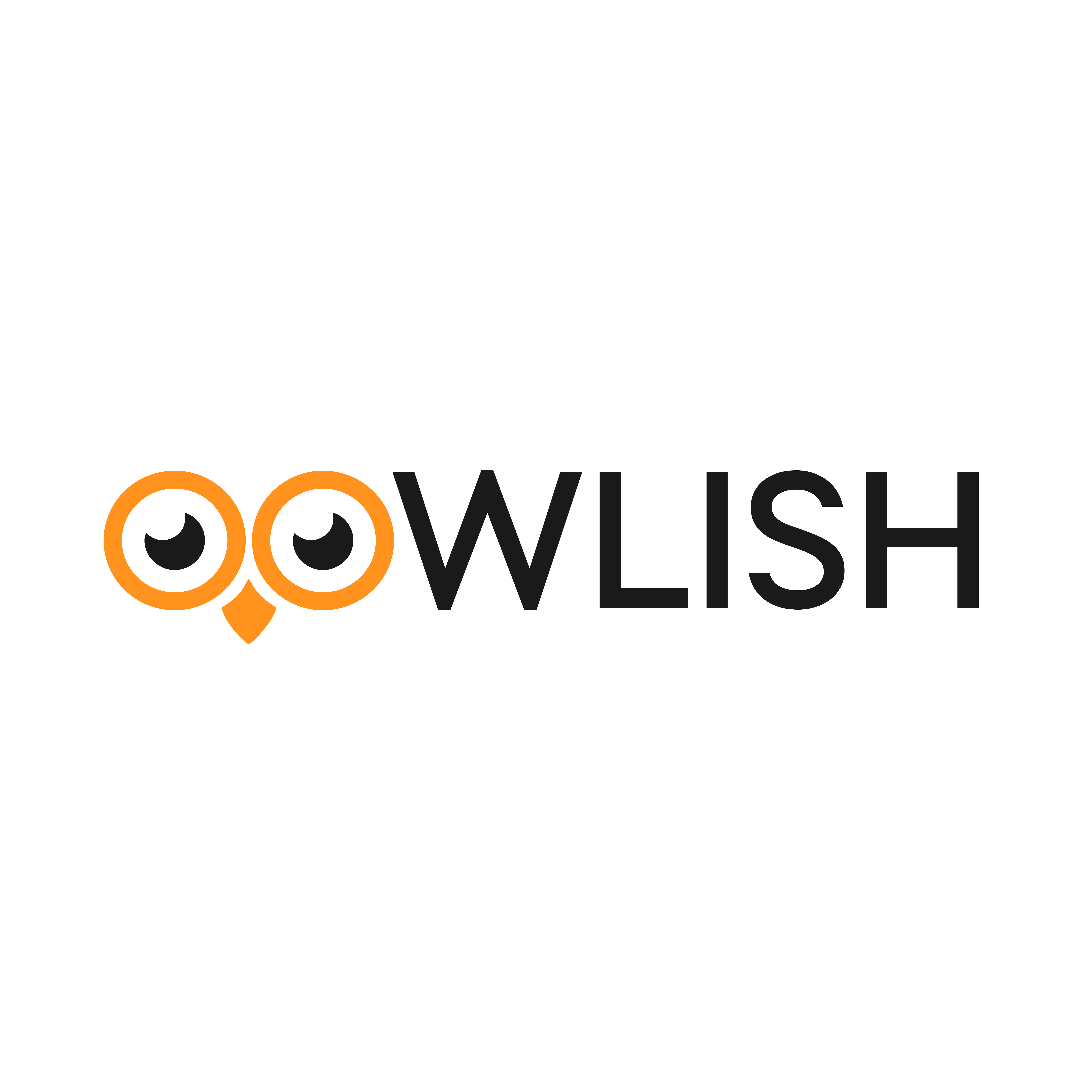 OOWLISH TECHNOLOGY EIRELI