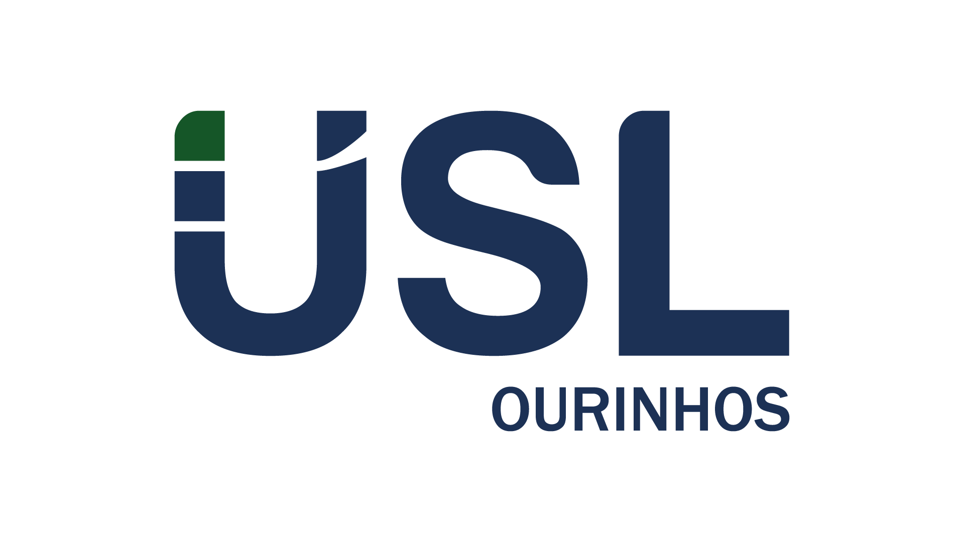 USINA SAO LUIZ S A