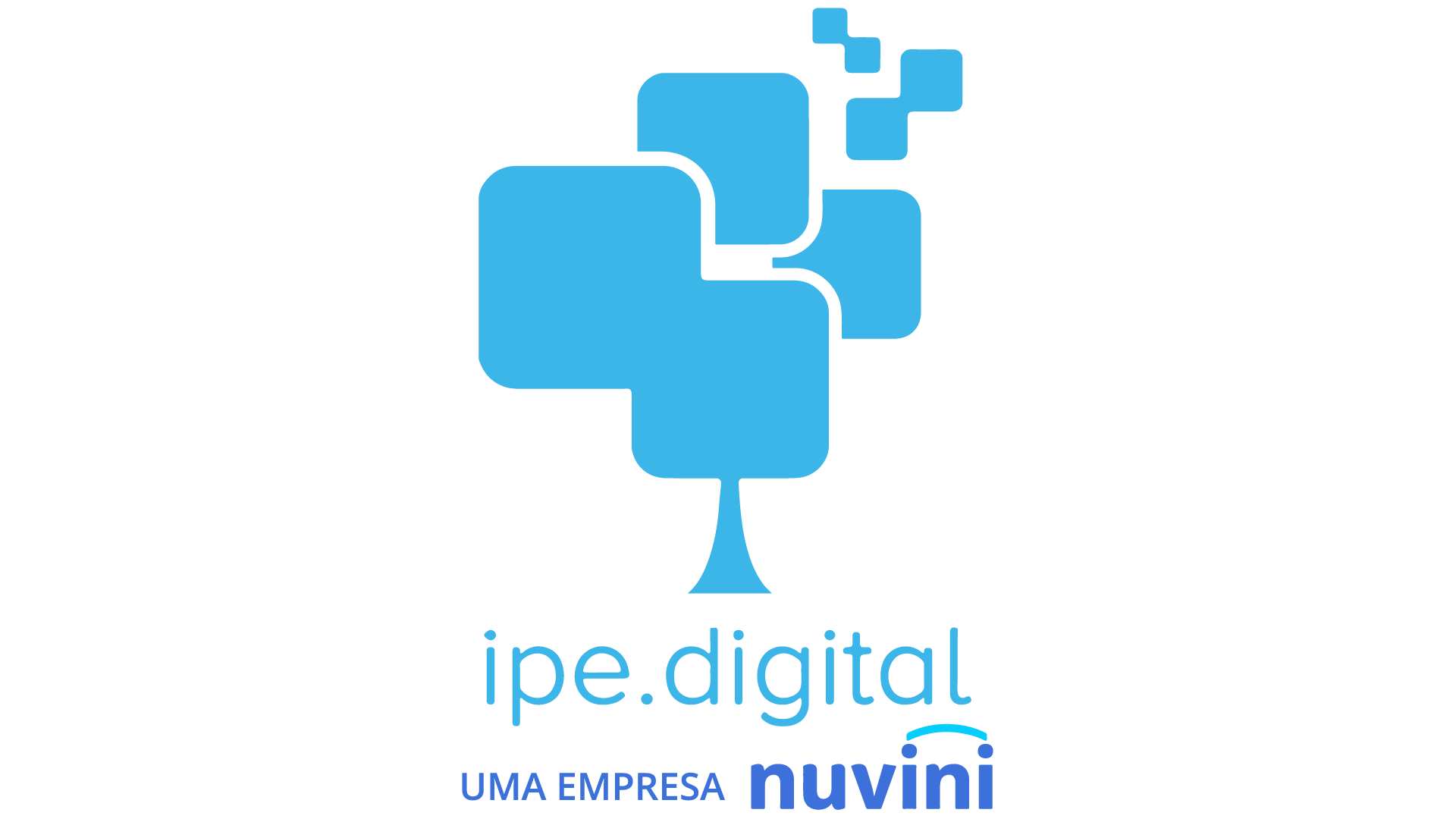 IPE TECNOLOGIA DIGITAL LTDA